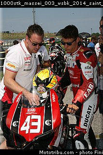 1000stk_massei_003_wsbk_2014_saint_marin_misano.jpg