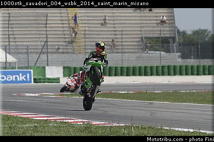 1000stk_savadori_004_wsbk_2014_saint_marin_misano.jpg