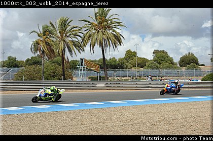 1000stk_003_wsbk_2014_espagne_jerez.jpg