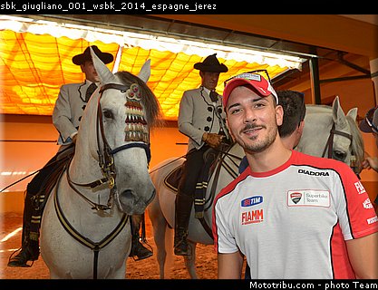 sbk_giugliano_001_wsbk_2014_espagne_jerez.jpg