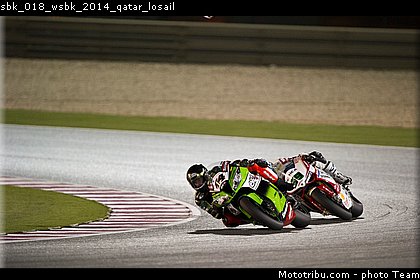 sbk_018_wsbk_2014_qatar_losail.jpg