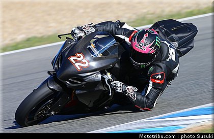 lowes_a_07_wsbk_2014_team_suzuki.jpg