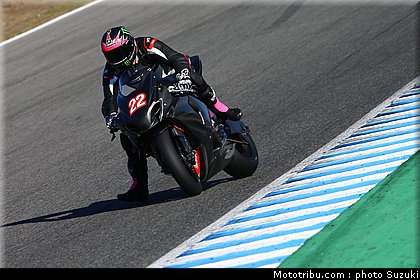lowes_a_08_wsbk_2014_team_suzuki.jpg