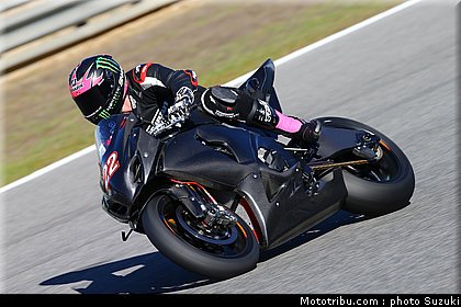 lowes_a_11_wsbk_2014_team_suzuki.jpg