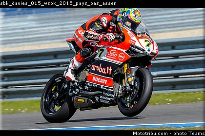 sbk_davies_015_wsbk_2015_pays_bas_assen.jpg
