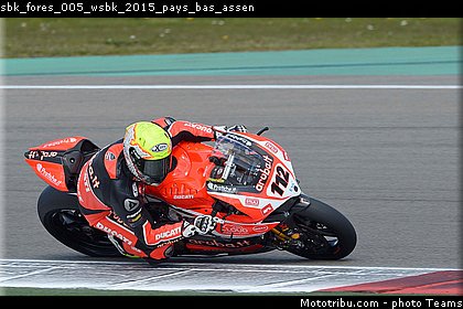 sbk_fores_005_wsbk_2015_pays_bas_assen.jpg