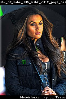 sbk_pit_babe_005_wsbk_2015_pays_bas_assen.jpg