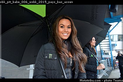 sbk_pit_babe_006_wsbk_2015_pays_bas_assen.jpg