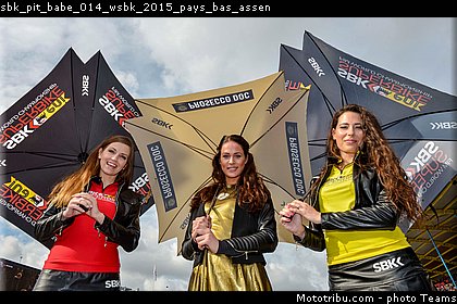 sbk_pit_babe_014_wsbk_2015_pays_bas_assen.jpg