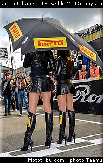sbk_pit_babe_018_wsbk_2015_pays_bas_assen.jpg