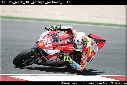 1000stk_jezek_001_portugal_portimao_2015.jpg