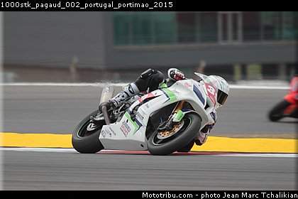 1000stk_pagaud_002_portugal_portimao_2015.jpg