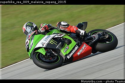 superbike_rea_009_malaisie_sepang_2015.jpg