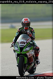 superbike_rea_018_malaisie_sepang_2015.jpg