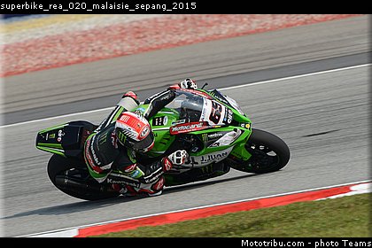 superbike_rea_020_malaisie_sepang_2015.jpg
