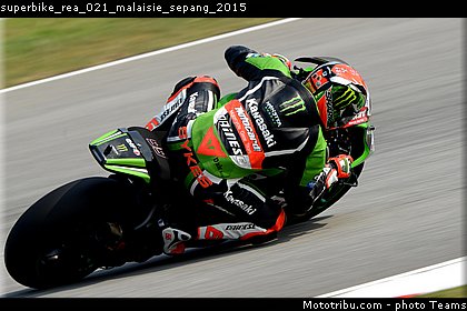 superbike_rea_021_malaisie_sepang_2015.jpg
