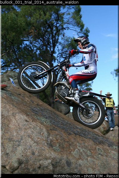 bullock_001_trial_2014_australie_waldon