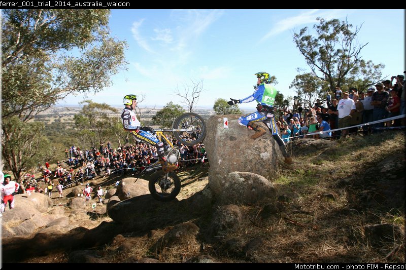 ferrer_001_trial_2014_australie_waldon