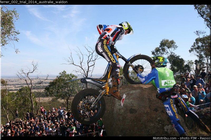 ferrer_002_trial_2014_australie_waldon