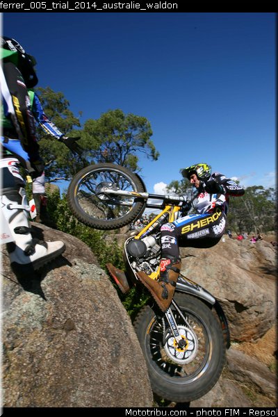 ferrer_005_trial_2014_australie_waldon
