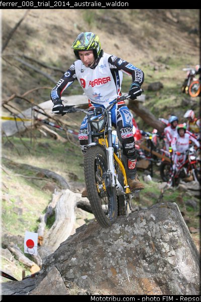 ferrer_008_trial_2014_australie_waldon