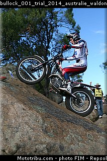 bullock_001_trial_2014_australie_waldon.jpg