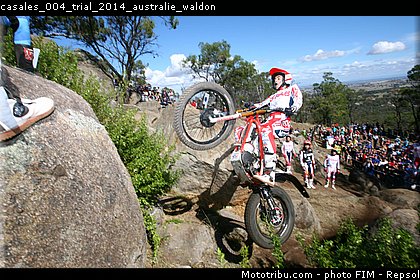 casales_004_trial_2014_australie_waldon.jpg