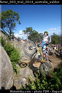 ferrer_003_trial_2014_australie_waldon.jpg
