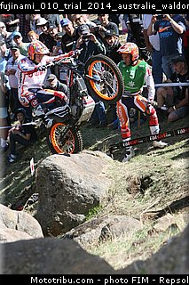 fujinami_010_trial_2014_australie_waldon.jpg