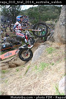 raga_010_trial_2014_australie_waldon.jpg