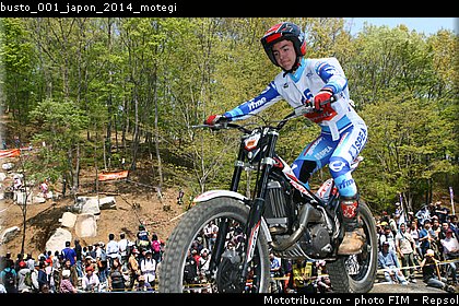 busto_001_japon_2014_motegi.jpg