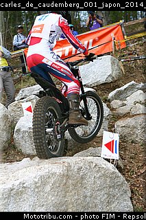 carles_de_caudemberg_001_japon_2014_motegi.jpg
