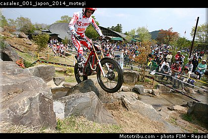 casales_001_japon_2014_motegi.jpg