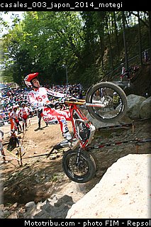 casales_003_japon_2014_motegi.jpg