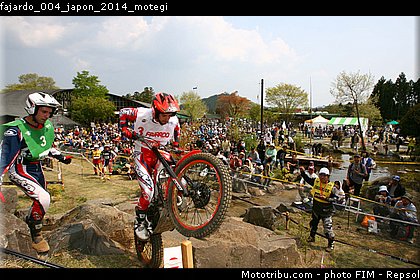 fajardo_004_japon_2014_motegi.jpg