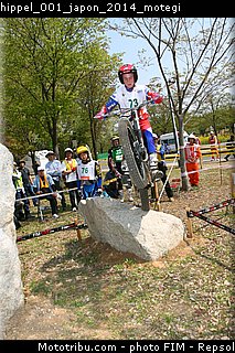 hippel_001_japon_2014_motegi.jpg