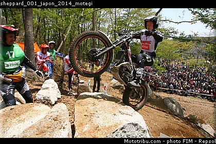 sheppard_001_japon_2014_motegi.jpg