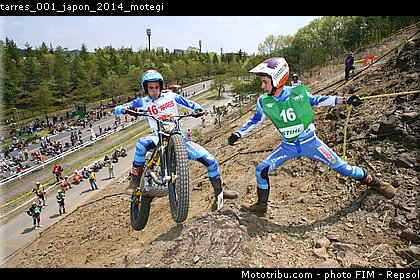 tarres_001_japon_2014_motegi.jpg