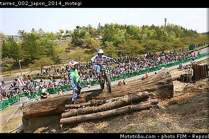 tarres_002_japon_2014_motegi.jpg