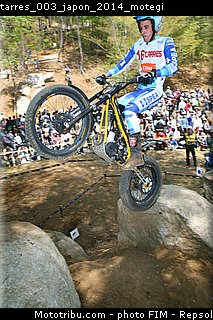 tarres_003_japon_2014_motegi.jpg