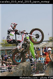 casales_010_trial_2015_japon_motegi.jpg