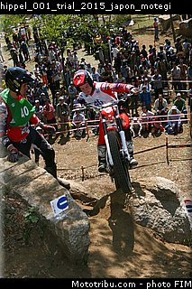 hippel_001_trial_2015_japon_motegi.jpg