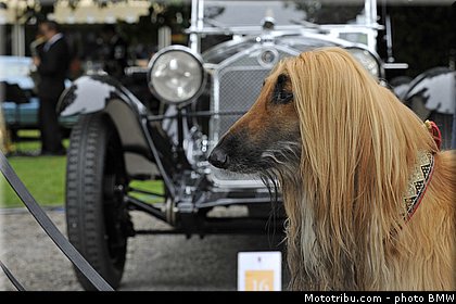 ambiance_020_concours_elegance_ville_este_2013.jpg