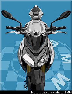 bmw_2014_s_1000_r_0141.jpg