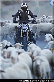bmw_r_1200_r_2015_0016.jpg