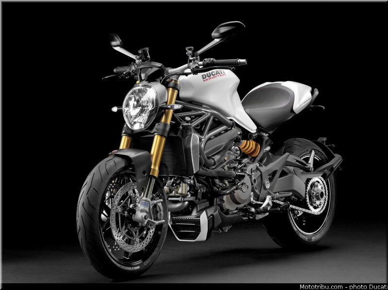ducati_1200_monster_2014_029