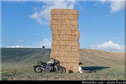 ducati_2015_scrambler_011.jpg