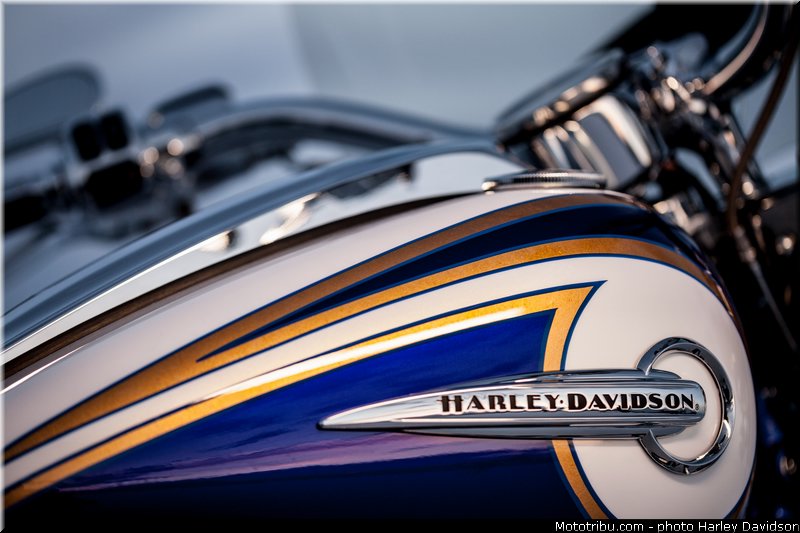 cvo_softail_deluxe_003_harley_davidson_2014