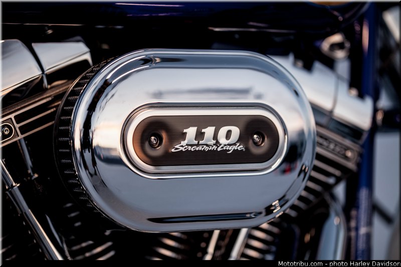 cvo_softail_deluxe_004_harley_davidson_2014