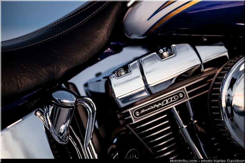 cvo_softail_deluxe_005_harley_davidson_2014